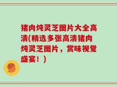 猪肉炖灵芝图片大全高清(精选多张高清猪肉炖灵芝图片，赏味视觉盛宴！)