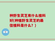 种野生灵芝用什么植料好(种植野生灵芝的最佳植料是什么？)