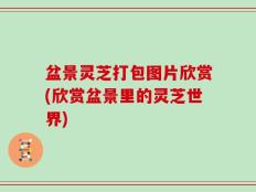 盆景灵芝打包图片欣赏(欣赏盆景里的灵芝世界)