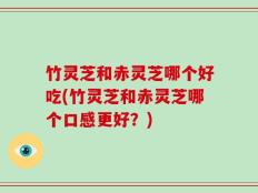 竹灵芝和赤灵芝哪个好吃(竹灵芝和赤灵芝哪个口感更好？)