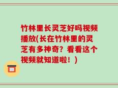 竹林里长灵芝好吗视频播放(长在竹林里的灵芝有多神奇？看看这个视频就知道啦！)