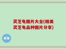 灵芝龟图片大全(精美灵芝龟品种图片分享)