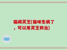 猫闻灵芝(猫咪生病了，可以用灵芝救治)