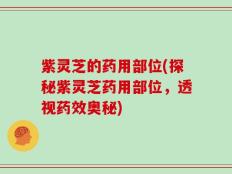 紫灵芝的药用部位(探秘紫灵芝药用部位，透视药效奥秘)