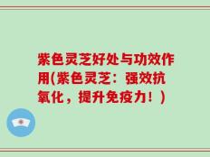 紫色灵芝好处与功效作用(紫色灵芝：强效抗氧化，提升免疫力！)