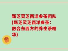 甄芝灵芝西洋参茶团队(甄芝灵芝西洋参茶：融合东西方的养生茶精华)