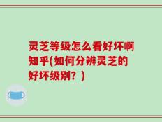 灵芝等级怎么看好坏啊知乎(如何分辨灵芝的好坏级别？)