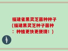福建省黑灵芝菌种种子(福建黑灵芝种子菌种：种植更快更便捷！)