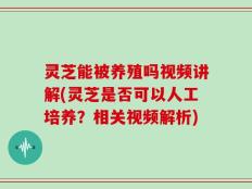 灵芝能被养殖吗视频讲解(灵芝是否可以人工培养？相关视频解析)