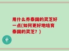 用什么养泰国的灵芝好一点(如何更好地培育泰国的灵芝？)
