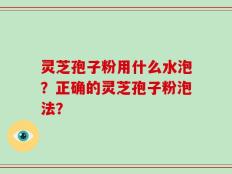 灵芝孢子粉用什么水泡？正确的灵芝孢子粉泡法？