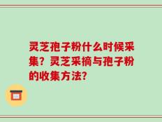 灵芝孢子粉什么时候采集？灵芝采摘与孢子粉的收集方法？