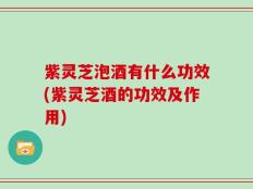 紫灵芝泡酒有什么功效(紫灵芝酒的功效及作用)