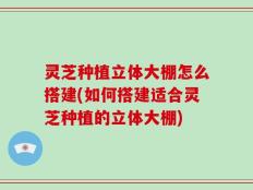 灵芝种植立体大棚怎么搭建(如何搭建适合灵芝种植的立体大棚)