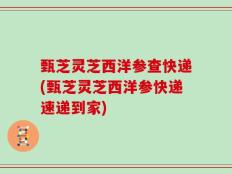甄芝灵芝西洋参查快递(甄芝灵芝西洋参快递速递到家)