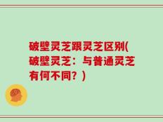 破壁灵芝跟灵芝区别(破壁灵芝：与普通灵芝有何不同？)