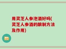 用灵芝人参泡酒好吗(灵芝人参酒的酿制方法及作用)