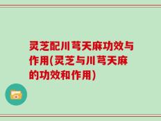 灵芝配川芎天麻功效与作用(灵芝与川芎天麻的功效和作用)