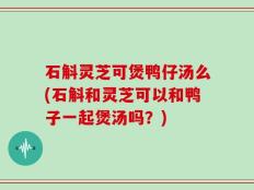石斛灵芝可煲鸭仔汤么(石斛和灵芝可以和鸭子一起煲汤吗？)
