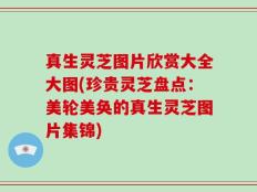 真生灵芝图片欣赏大全大图(珍贵灵芝盘点：美轮美奂的真生灵芝图片集锦)