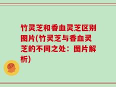 竹灵芝和香血灵芝区别图片(竹灵芝与香血灵芝的不同之处：图片解析)