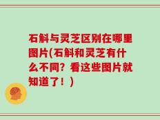 石斛与灵芝区别在哪里图片(石斛和灵芝有什么不同？看这些图片就知道了！)