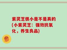 紫灵芝很小是不是真的(小紫灵芝：强效抗氧化，养生良品)