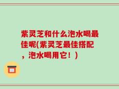 紫灵芝和什么泡水喝最佳呢(紫灵芝最佳搭配，泡水喝用它！)