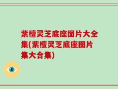 紫檀灵芝底座图片大全集(紫檀灵芝底座图片集大合集)