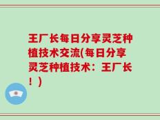 王厂长每日分享灵芝种植技术交流(每日分享灵芝种植技术：王厂长！)