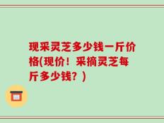 现采灵芝多少钱一斤价格(现价！采摘灵芝每斤多少钱？)