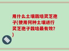 用什么土壤栽培灵芝孢子(使用何种土壤进行灵芝孢子栽培最有效？)