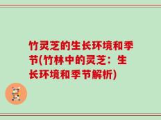 竹灵芝的生长环境和季节(竹林中的灵芝：生长环境和季节解析)