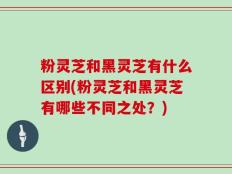 粉灵芝和黑灵芝有什么区别(粉灵芝和黑灵芝有哪些不同之处？)