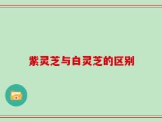 紫灵芝与白灵芝的区别