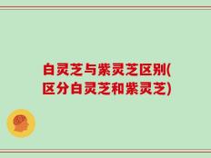 白灵芝与紫灵芝区别(区分白灵芝和紫灵芝)