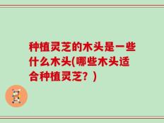 种植灵芝的木头是一些什么木头(哪些木头适合种植灵芝？)