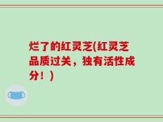 烂了的红灵芝(红灵芝品质过关，独有活性成分！)