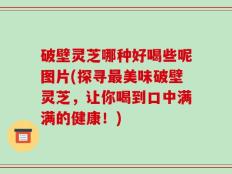 破壁灵芝哪种好喝些呢图片(探寻最美味破壁灵芝，让你喝到口中满满的健康！)