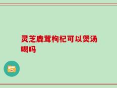 灵芝鹿茸枸杞可以煲汤喝吗