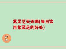紫灵芝天天喝(每日饮用紫灵芝的好处)