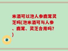 米酒可以泡人参鹿茸灵芝吗(泡米酒可与人参、鹿茸、灵芝合用吗？)