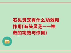 石头灵芝有什么功效和作用(石头灵芝——神奇的功效与作用)