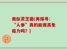类似灵芝菌(再探寻：“人参”真的能提高免疫力吗？)