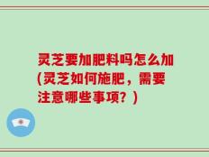 灵芝要加肥料吗怎么加(灵芝如何施肥，需要注意哪些事项？)