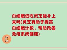白细胞低吃灵芝能补上来吗(灵芝有助于提高白细胞计数，帮助改善免疫系统健康)