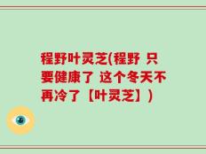 程野叶灵芝(程野 只要健康了 这个冬天不再冷了【叶灵芝】)