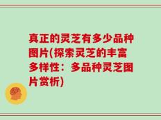 真正的灵芝有多少品种图片(探索灵芝的丰富多样性：多品种灵芝图片赏析)