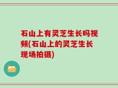 石山上有灵芝生长吗视频(石山上的灵芝生长现场拍摄)