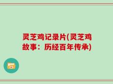 灵芝鸡记录片(灵芝鸡故事：历经百年传承)